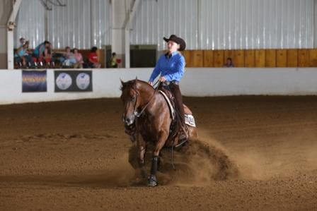 Tinseltown Flash — reining stallion